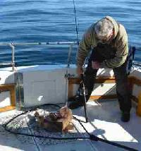 Whale Watching Depoe Bay 